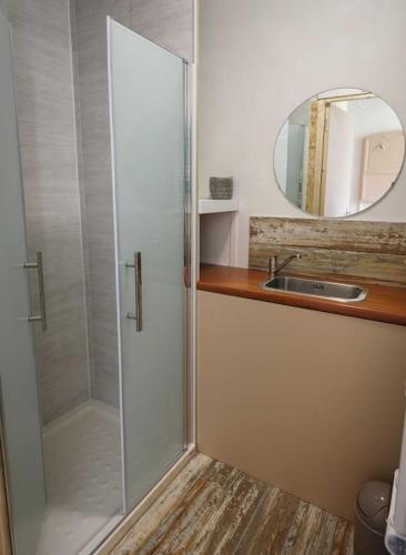 une salle de bain avec une douche, un lavabo et un miroir dans l'établissement Gîte ICI pour 8 personnes au bord de la rivière, à Le Monastier sur Gazeille