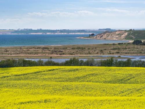 a yellow rapeseed field with the ocean in the background at Holiday Home Store - 700m from the sea in Funen by Interhome in Ebberup