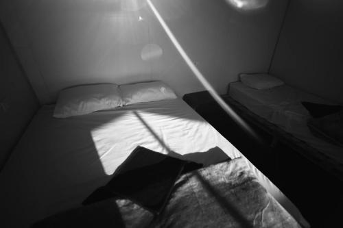 Postel nebo postele na pokoji v ubytování New Droub Camp