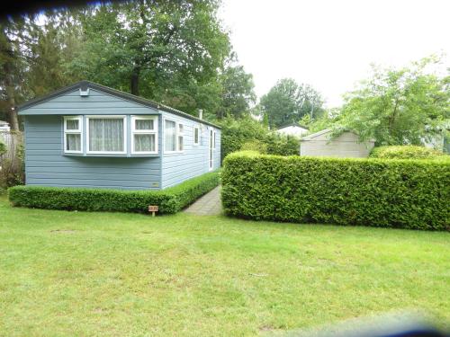 a small blue house in a yard with bushes at Chalet Adelaar in Vledder