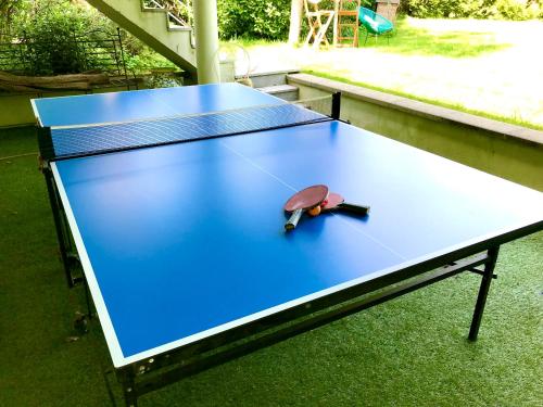 - une table de ping-pong avec une tortue au-dessus dans l'établissement Superbe studio privé, à Thionville