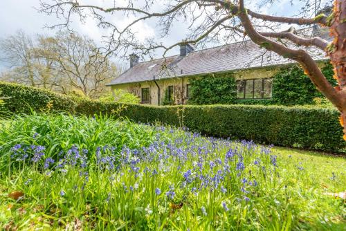 a garden with purple flowers in front of a house at Nutsford House in Dulverton