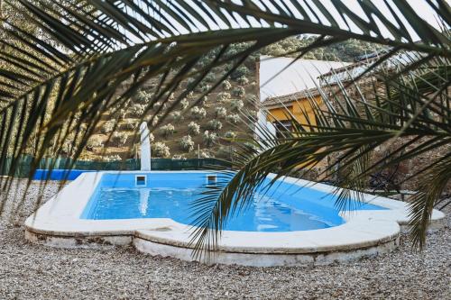 una piscina con una palmera frente a un edificio en Experience Alpacas in Andalucia, en Córdoba