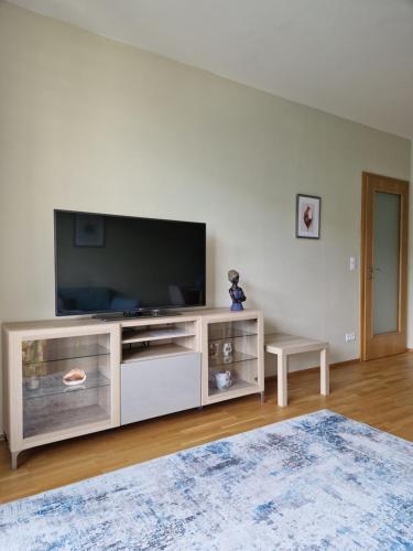 TV a/nebo společenská místnost v ubytování Costas apartments