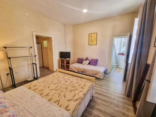 Habitación de hotel con 2 camas y sofá en Dalmatian Apartment in the City Center en Split