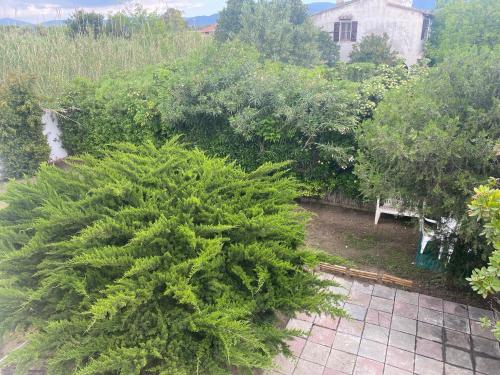 Κήπος έξω από το Appartamenti Sant'Andrea