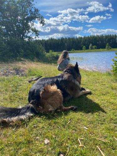 a woman and a dog laying in the grass near a lake at ~Apartment in middle of Nature~ in Nissafors