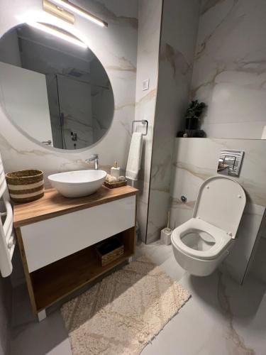 Un baño con inodoro, lavabo y espejo. en Centar NS, en Novi Sad