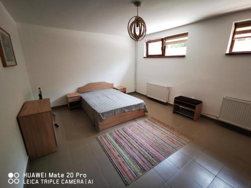 um quarto com uma cama e um tapete no chão em Cluj City Marasti Apartament 1 em Cluj-Napoca
