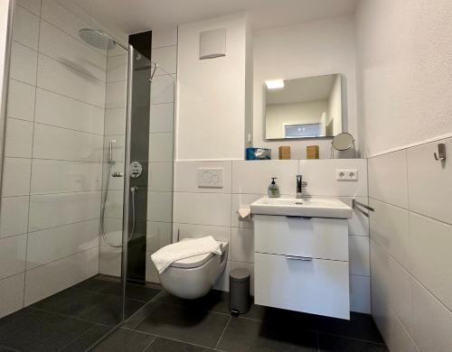 a bathroom with a toilet and a sink and a shower at Apartment Breitensteinblick - wandern, radeln und Mehr in Fischbachau