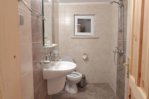Madzharovo的住宿－Vulture Centre Eastern Rhodopes，浴室配有卫生间、盥洗盆和淋浴。