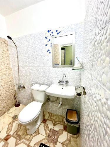 a bathroom with a toilet and a sink and a mirror at Petra Pottery Hostel in Wadi Musa