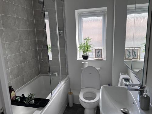 a bathroom with a toilet and a shower and a sink at Birmingham City 2 Bedroom Apartment in Birmingham