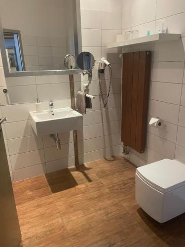 La salle de bains est pourvue d'un lavabo, de toilettes et d'un miroir. dans l'établissement Haus Wullfcrona, à Stralsund