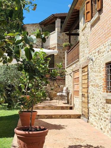 Κήπος έξω από το Luxury Tuscan Farm Stay, 1 bedroom with a pool