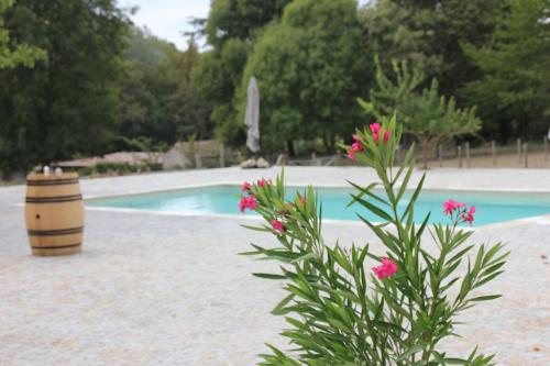une plante avec des fleurs roses à côté d'une piscine dans l'établissement Domaine de Badine, 15 min Bordeaux & Saint-Emilion, à Saint-Sulpice-et-Cameyrac