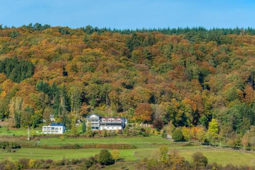a large house in the middle of a forest at Waldhotel Sonnenberg in Bollendorf