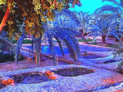 a painting of a garden with palm trees and ponds at Nashdeen Eko Lodge in ‘Izbat Zaydān