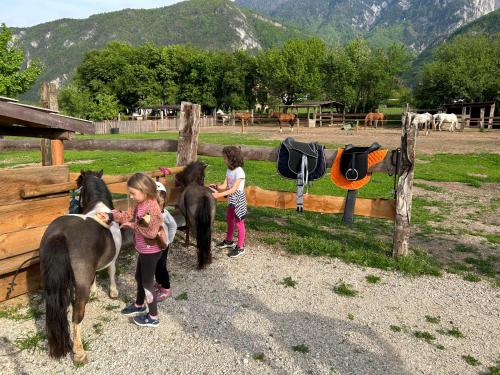 a group of children standing next to a fence with horses at Agritur Airone Bed & Camping in Levico Terme