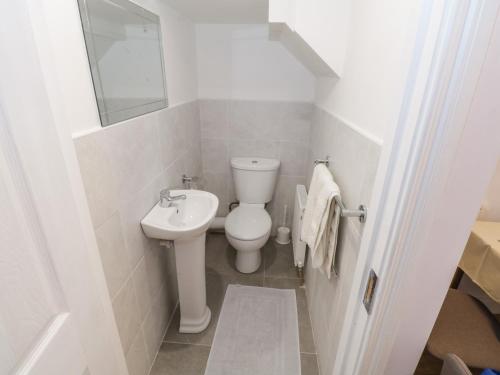 La petite salle de bains est pourvue de toilettes et d'un lavabo. dans l'établissement 22 Town Place, à Ballinrobe
