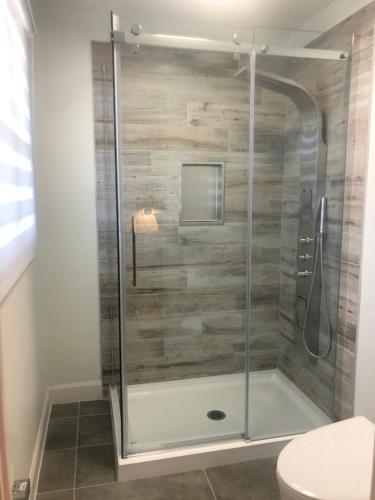 a glass shower in a bathroom with a toilet at La Maison Bellemare in Saint-Jean-des Piles