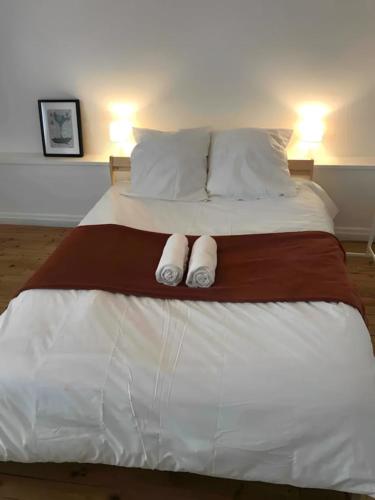 a bed with two white pillows on top of it at Nice T1 in the Clermont Historical Centre in Clermont-Ferrand