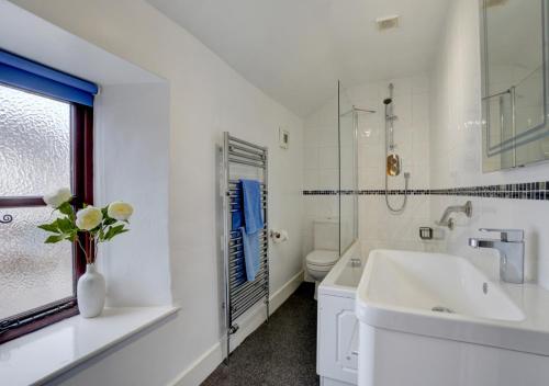 a white bathroom with a sink and a toilet at Cross Farm Cottage in Braunton