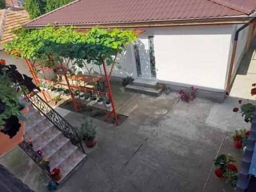 Zahrada ubytování Casa EliAndrei