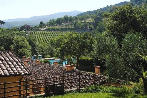 a house with a view of a vineyard and trees at 42 Vacanza di relax in Maremma - wifi - free parking in Castel del Piano