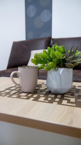 two cups sitting on a table with a plant at San Lux Dunavska in Novi Sad