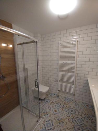 a bathroom with a shower and a toilet and a sink at Apartmány Adam in Liptovská Teplá
