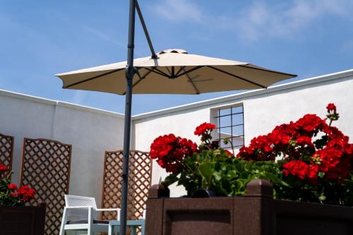 an umbrella and some red flowers and a building at Napul'è B&B in Boscotrecase