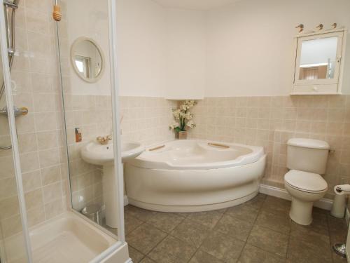 a bathroom with a toilet and a sink and a shower at Penny Cottage in Ludlow