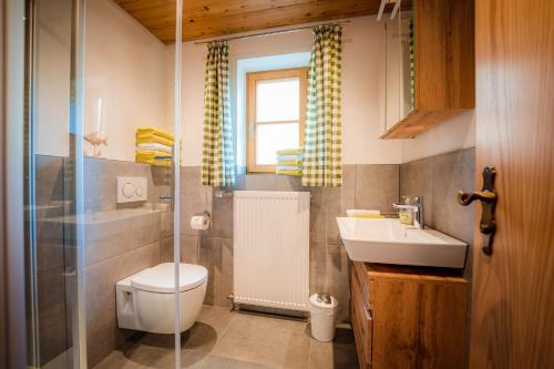 ヴァルヒェンゼーにあるAlmwohnung Neunerのバスルーム(トイレ、洗面台、シャワー付)