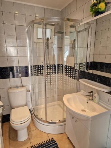 Apartment Ana Lozica with terrace
