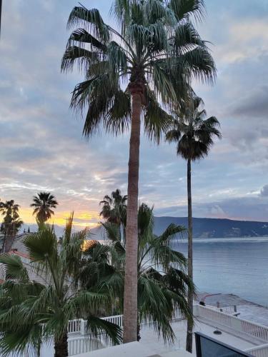 a group of palm trees on the beach at sunset at Hotel Vila Hedonija in Herceg-Novi