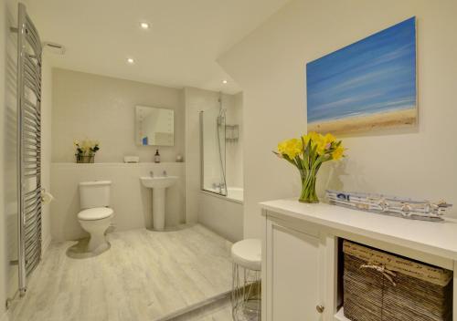 a bathroom with a toilet and a sink and a fireplace at Farthings Nest in Ilfracombe