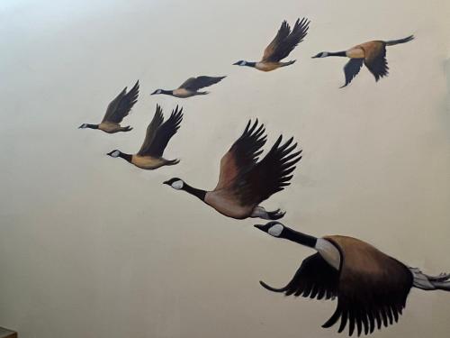 a flock of birds flying in the sky at Yu Shou Hao Hsien Guesthouse in Fushi