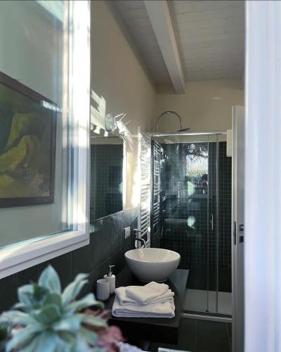 a bathroom with a sink and a glass shower at Pioppi Neri R&B in Felino