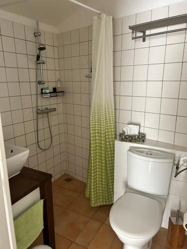 a bathroom with a toilet and a shower at Chambre en bordure d'Aveyron in Saint-Antonin