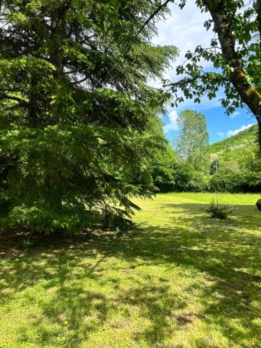 a grassy field with trees in a park at Chambre en bordure d'Aveyron in Saint-Antonin-Noble-Val