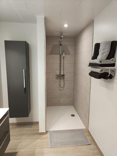 a bathroom with a shower with towels and a sink at Veroli in Bruges