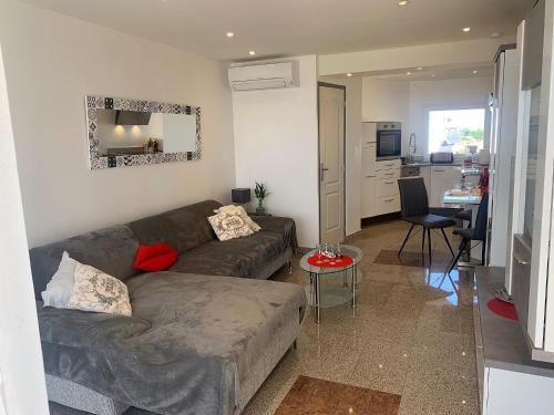 un salon avec un canapé et une cuisine dans l'établissement Appartement Village Naturiste Wild, au Cap d'Agde