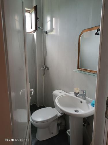 a bathroom with a toilet and a sink and a mirror at Guest House Irakli in Makhinjauri