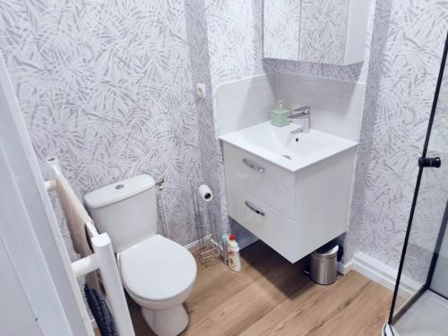 Kúpeľňa v ubytovaní Cantimpré6 trois pièces centre très lumineux