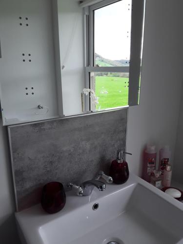 a bathroom sink with a mirror and a window at Ellerton Lodge Bed and Breakfast Swaledale in Richmond
