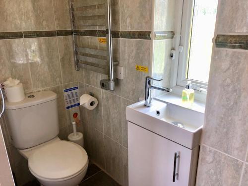 a bathroom with a toilet and a sink at The Old Quay House in Hayle