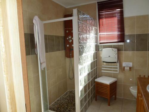 a bathroom with a shower and a sink at Iris Caromb in Caromb