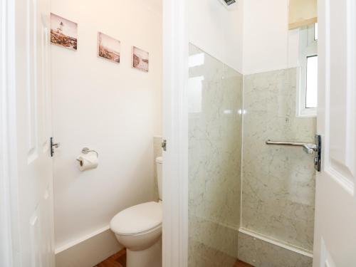 a white bathroom with a toilet and a shower at 8 Royal Chalet Park in Norwich
