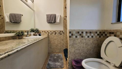 Un baño con inodoro, lavabo y espejo. en Sunny Palms Inn, en Lake Worth